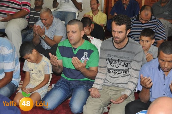 bazsalah lud 712 (22).JPG